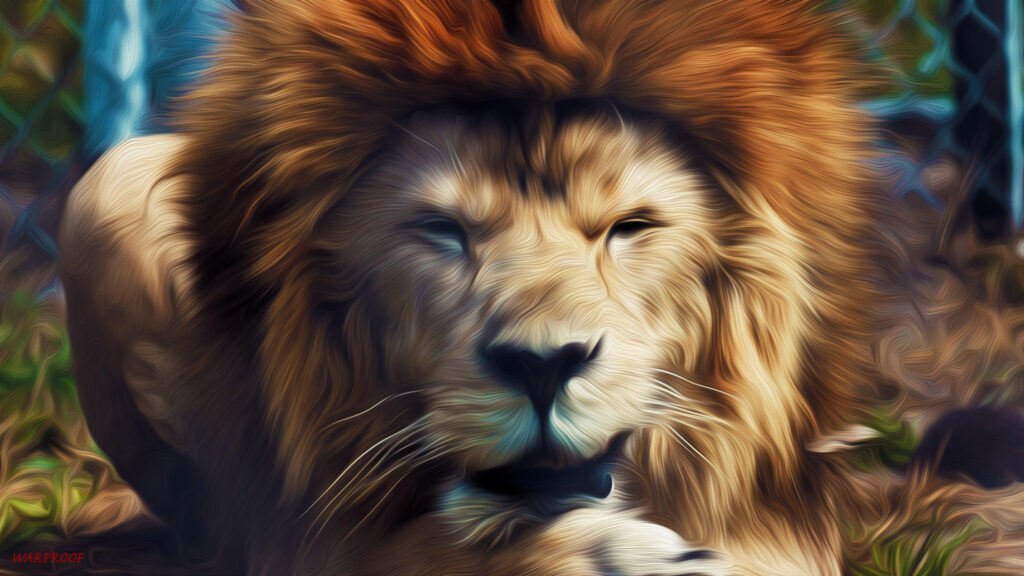 lion cool wallpapers