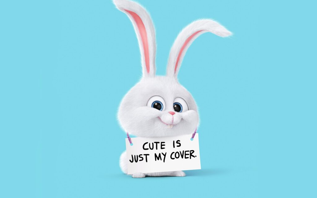 cartoon rabbit cute wallpapers