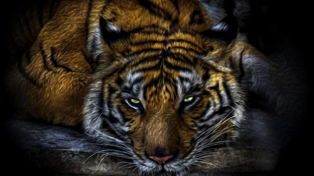 tiger desktop wallpapers