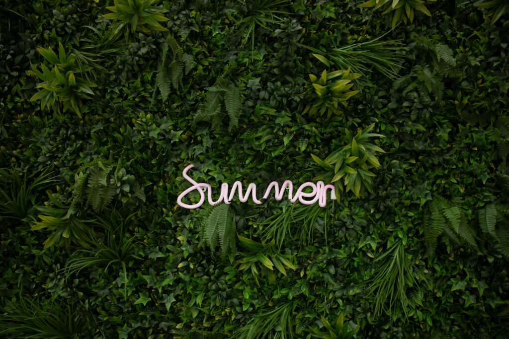 summer photo backgrounds
