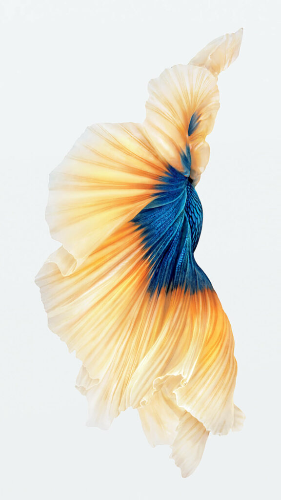 iPhone wallpaper