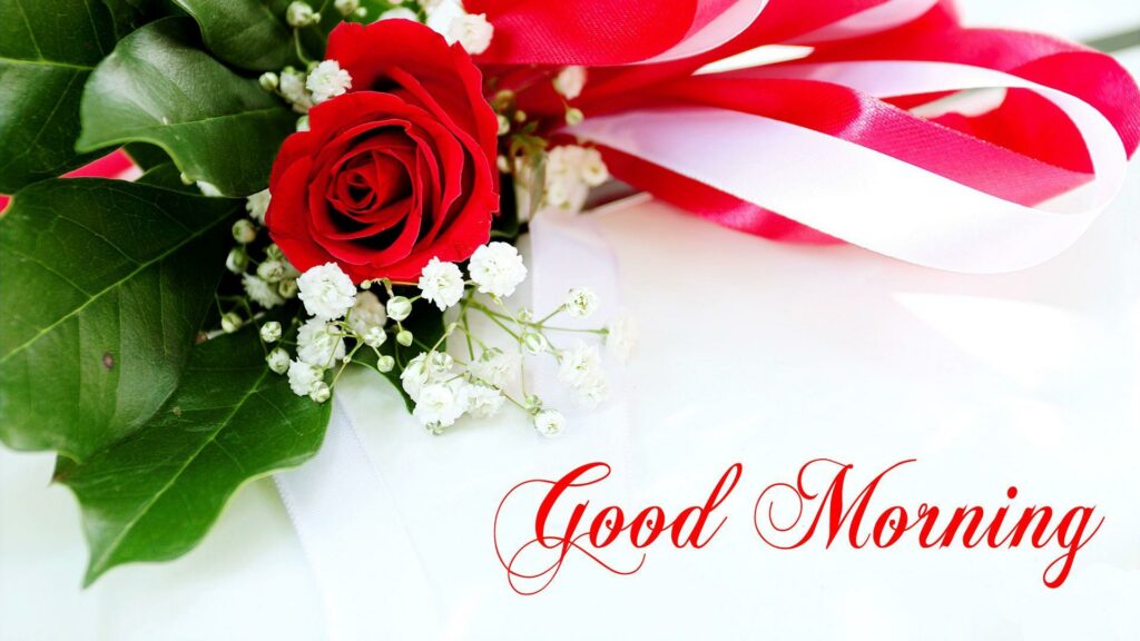 Good Morning Wallpapers