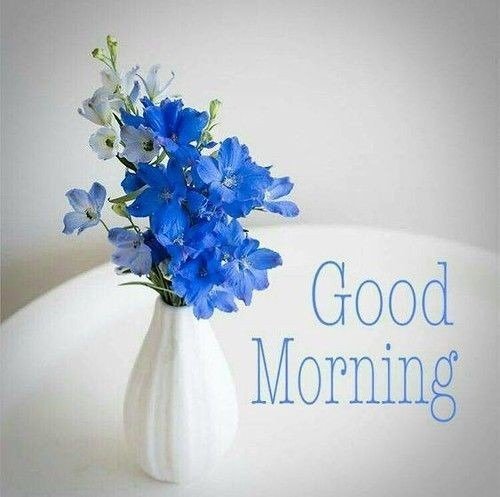 Good Morning Wallpapers