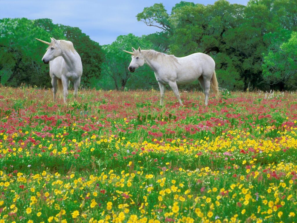 Unicorn Wallpapers
