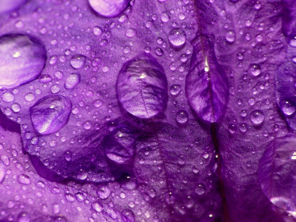 Water Wallpapers