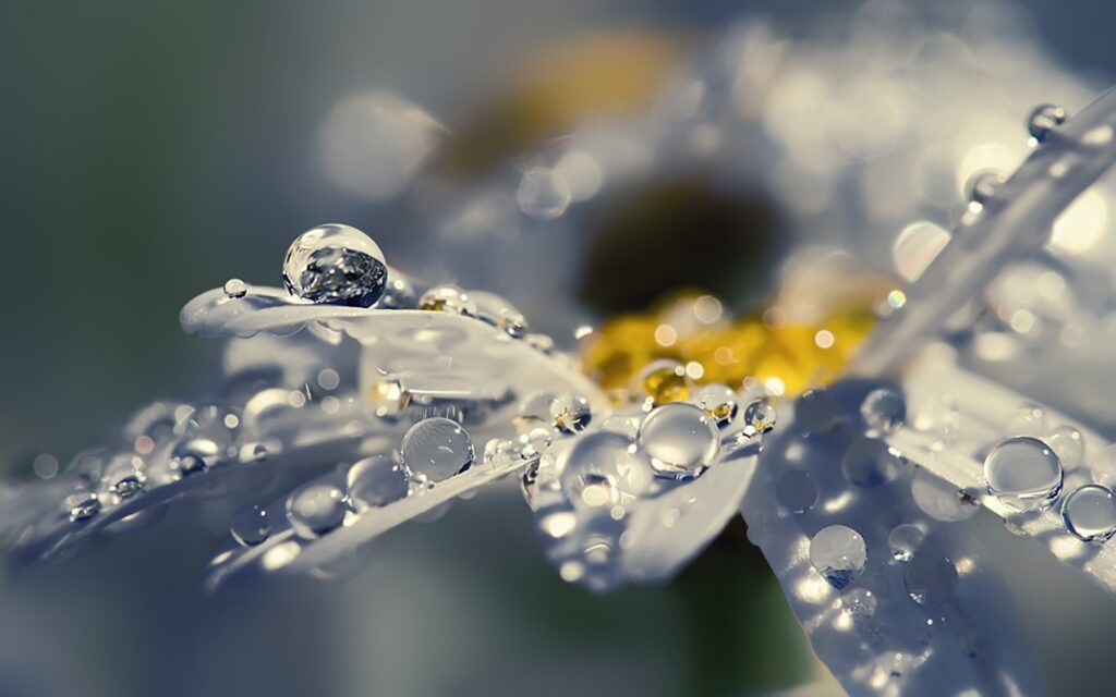 Water Wallpapers