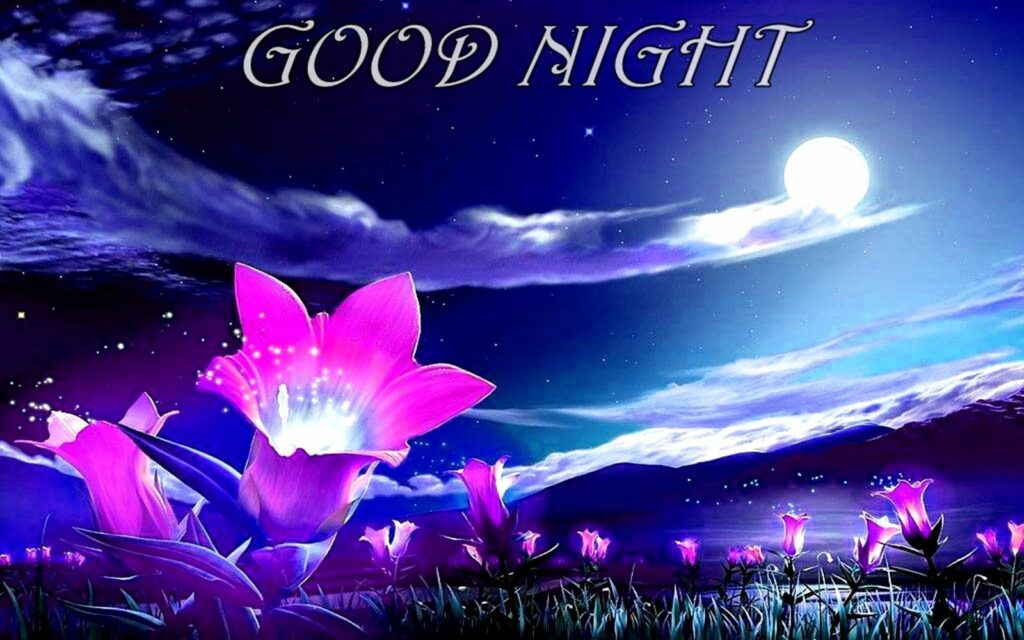 Good Night Wallpapers
