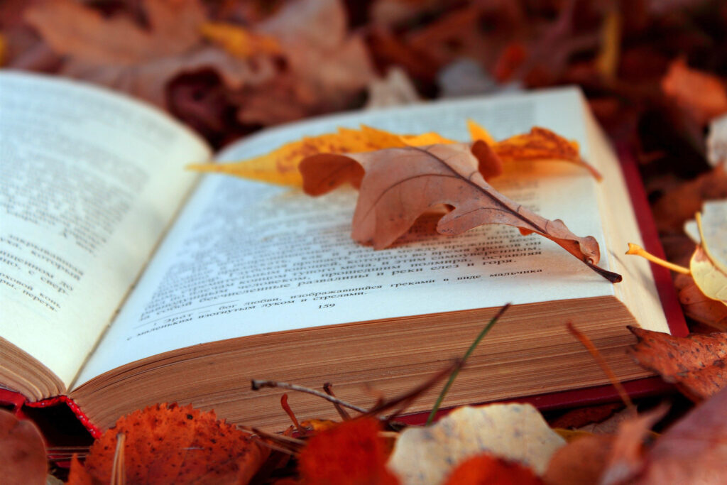 Book Wallpapers