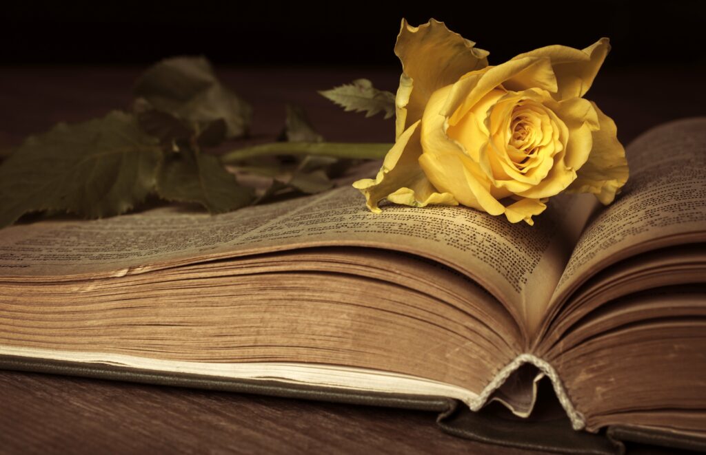 Book Wallpapers