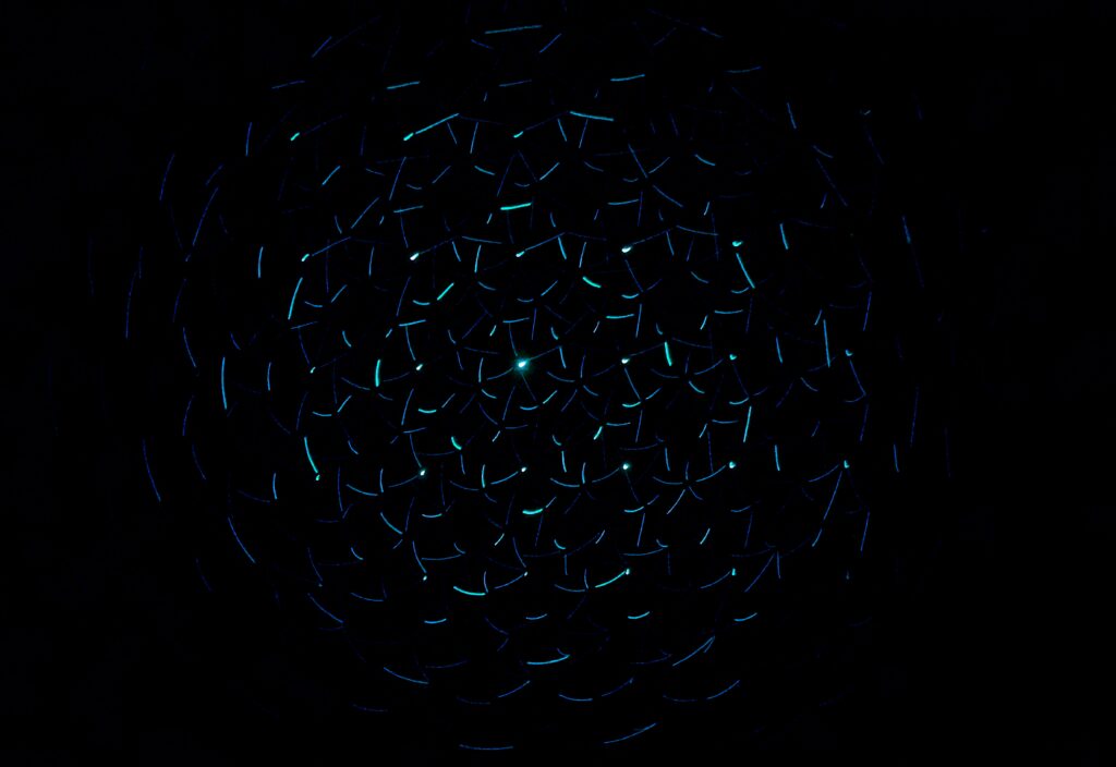 Black Theme Wallpapers