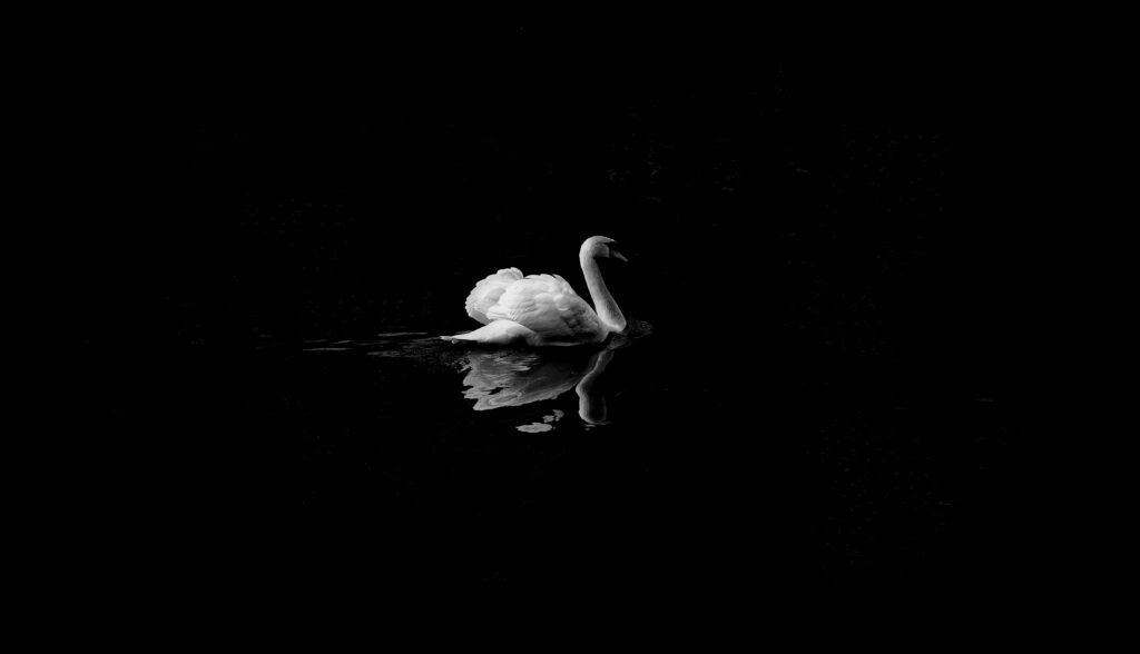 Black Theme Wallpapers