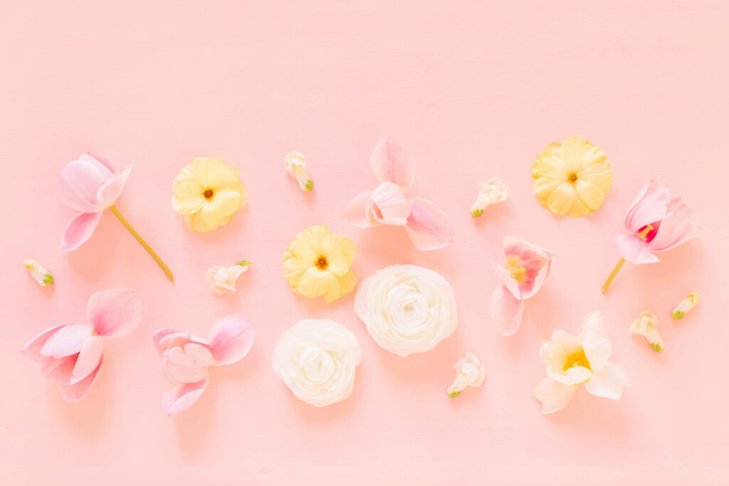 Peach Backgrounds