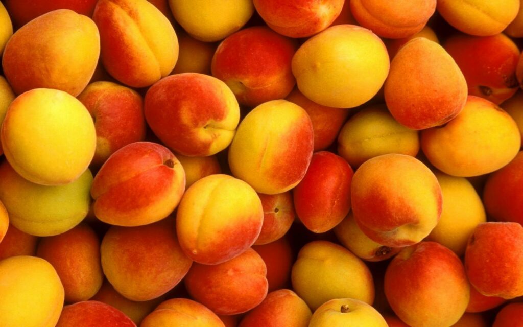 Peach Backgrounds