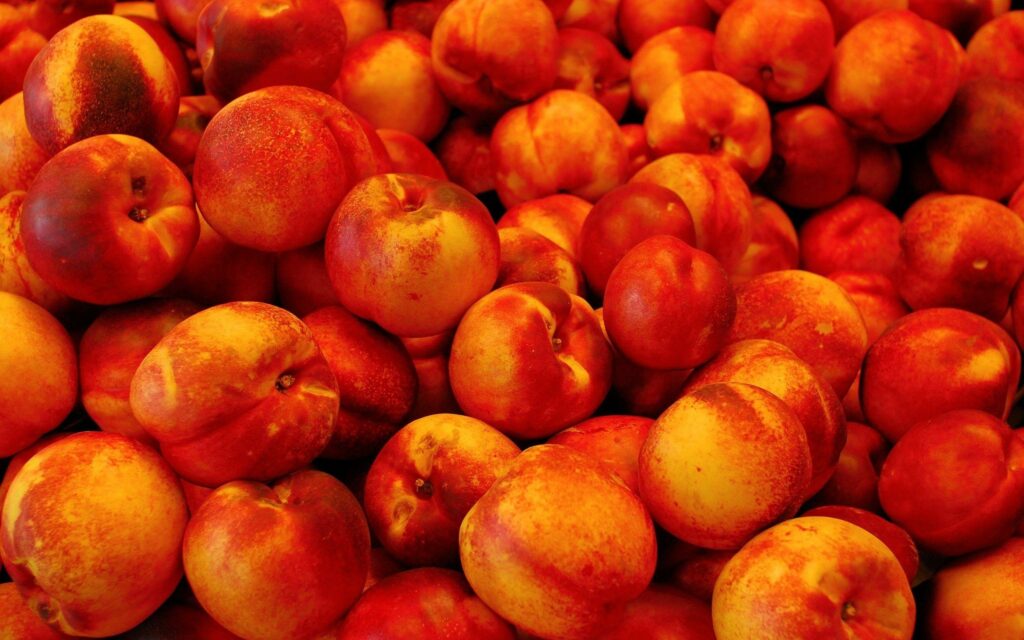 Peach Backgrounds