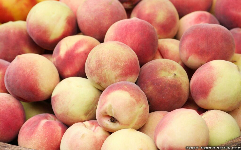 Peach Backgrounds