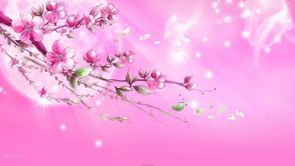 Pink Backgrounds Wallpapers